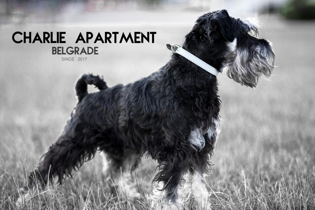 Apartment Charlie Perfect Price Bělehrad Exteriér fotografie